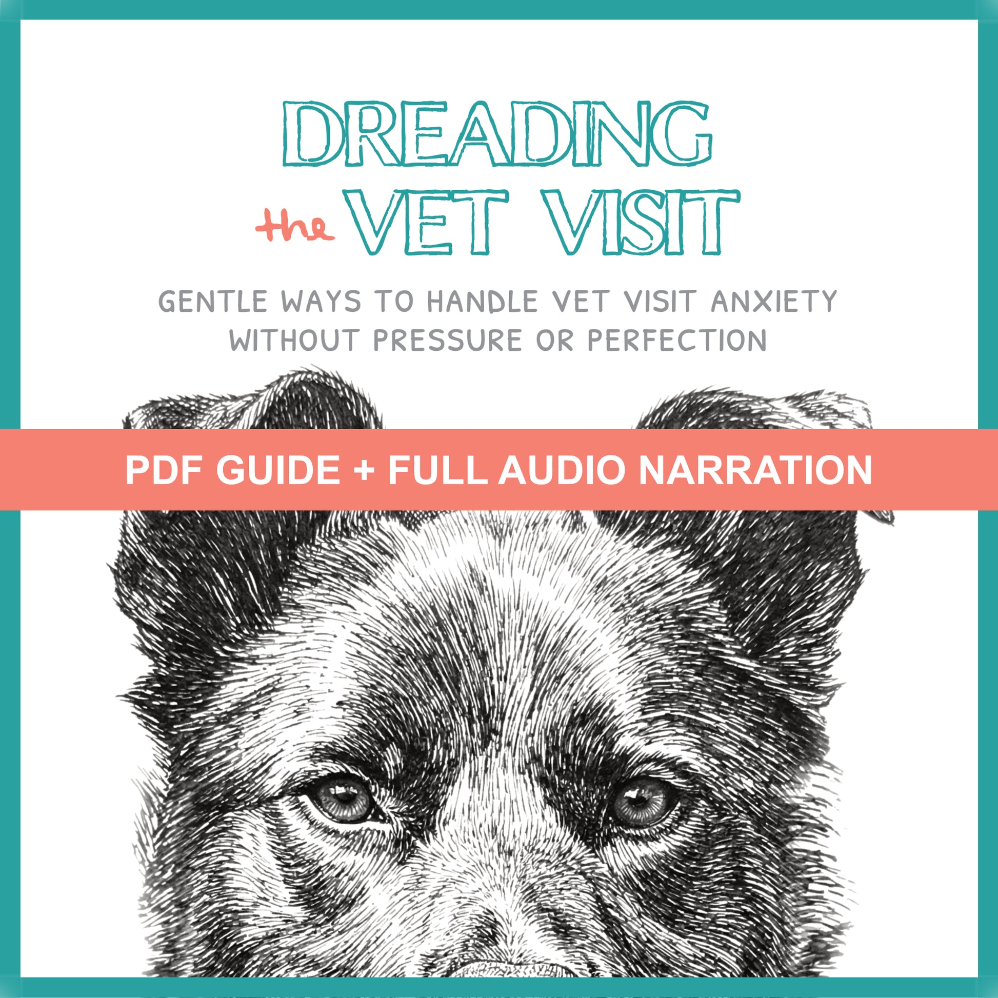 Book cover with a dog illustration and text about handling vet visit anxiety.